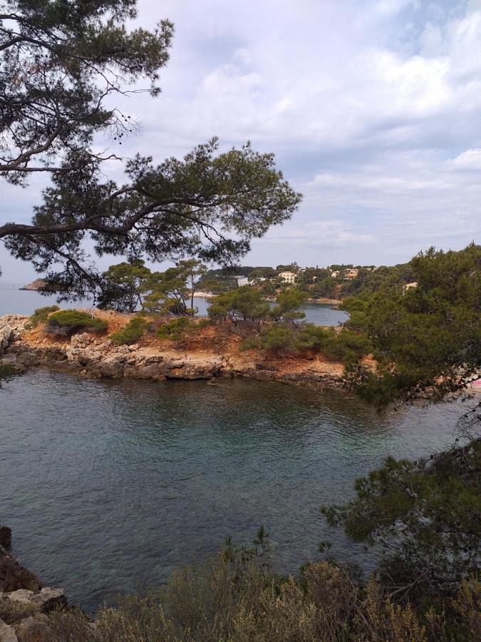 Joli Studio Res Au Calme En Rez De Jardin A Bandol. Exteriör bild